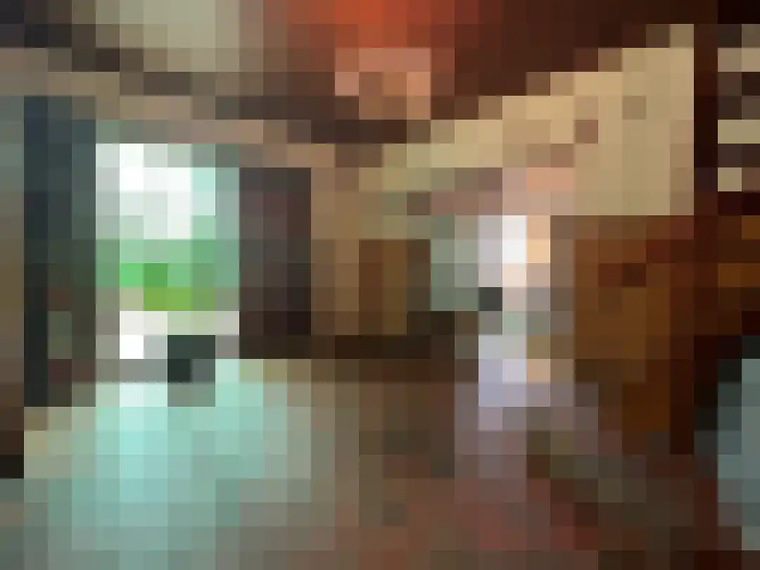Smokkelweg 1 IJzendijke thumbnail 12