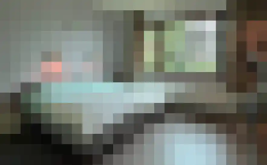 Smokkelweg 1 IJzendijke thumbnail 13