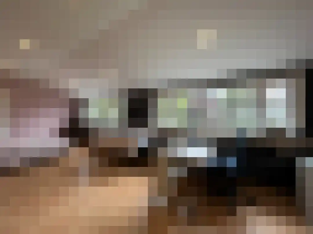 Smokkelweg 1 IJzendijke thumbnail 18