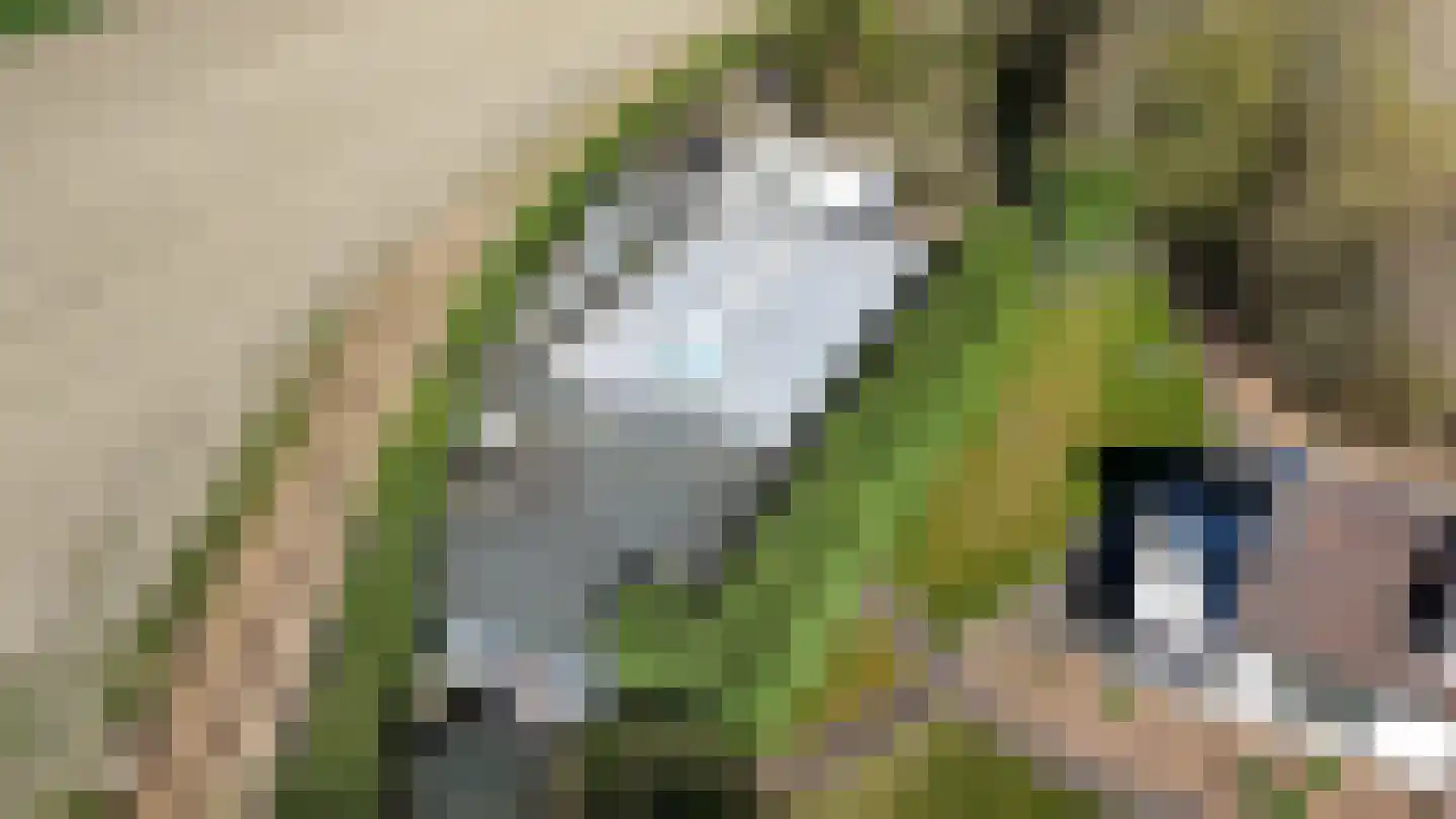 Smokkelweg 1 IJzendijke thumbnail 20