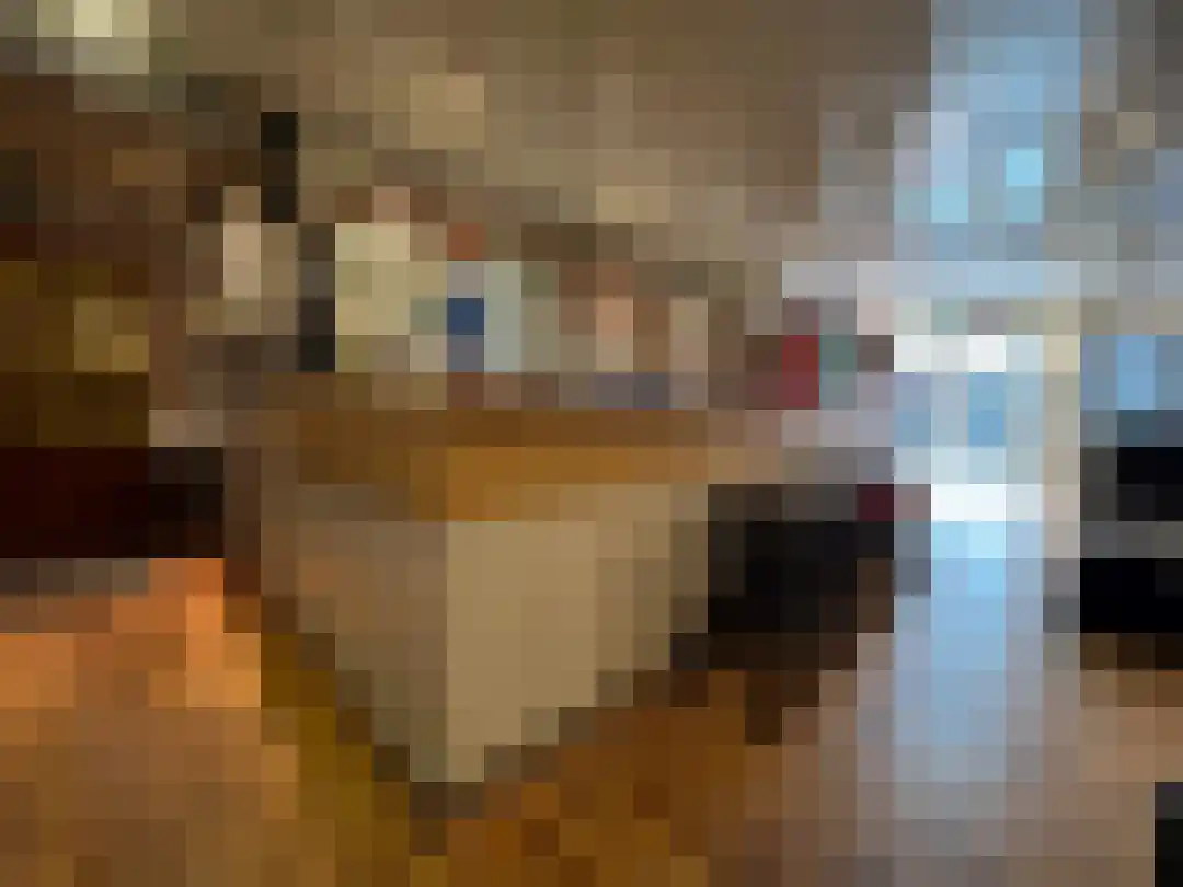 Smokkelweg 1 IJzendijke thumbnail 23