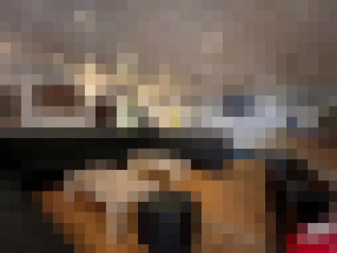 Smokkelweg 1 IJzendijke thumbnail 24