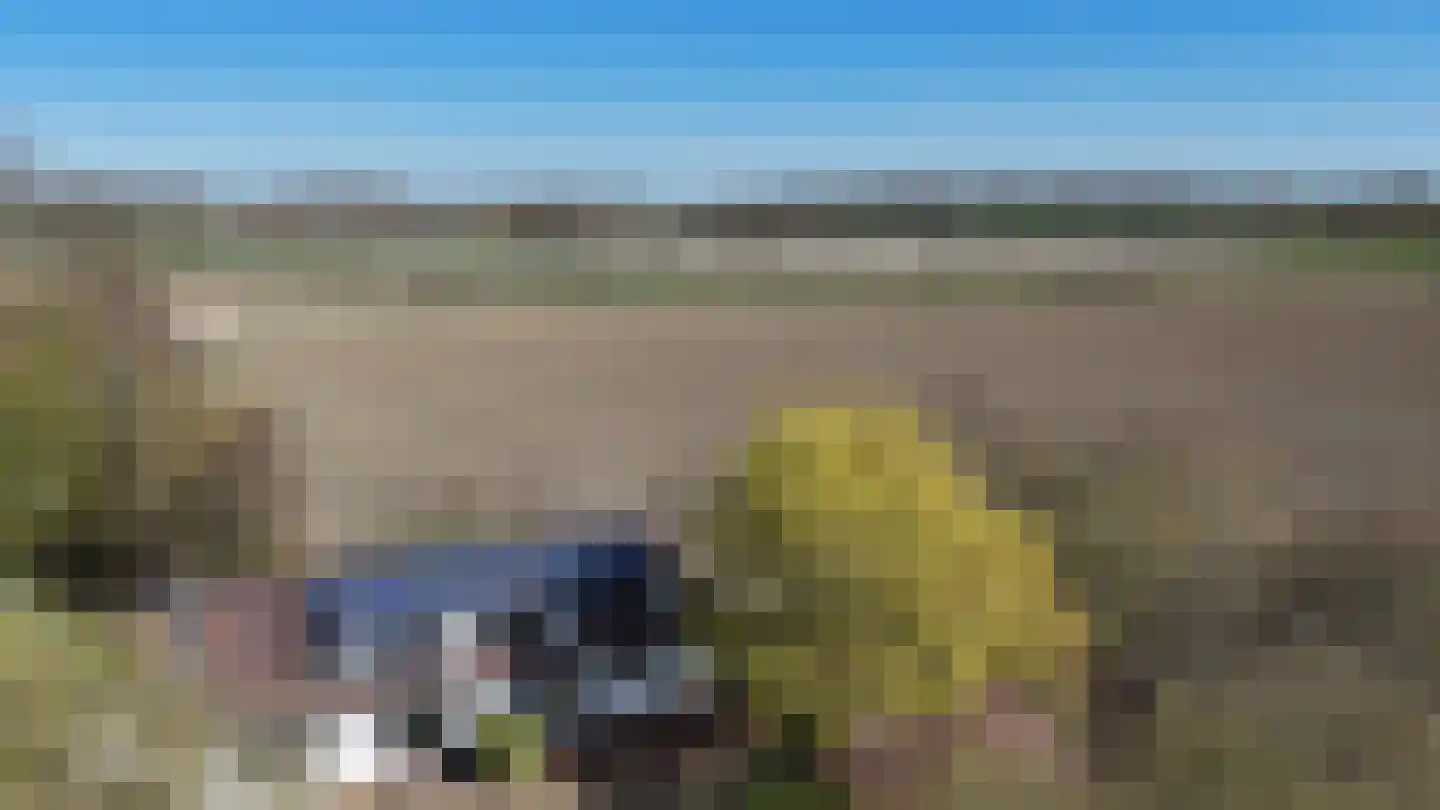 Smokkelweg 1 IJzendijke thumbnail 30