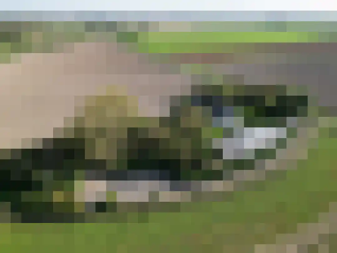 Smokkelweg 1 IJzendijke thumbnail 6