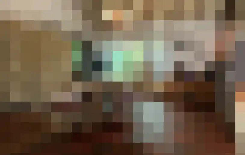 Smokkelweg 1 IJzendijke thumbnail 8