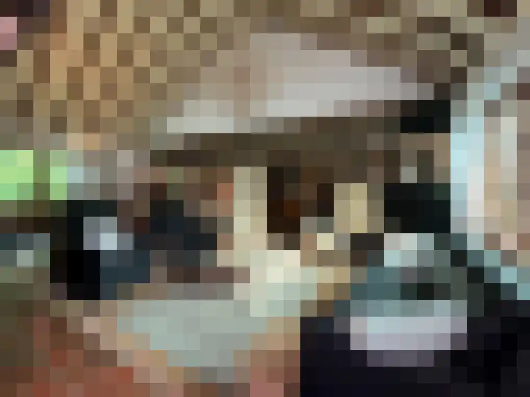Smokkelweg 1 IJzendijke thumbnail 9