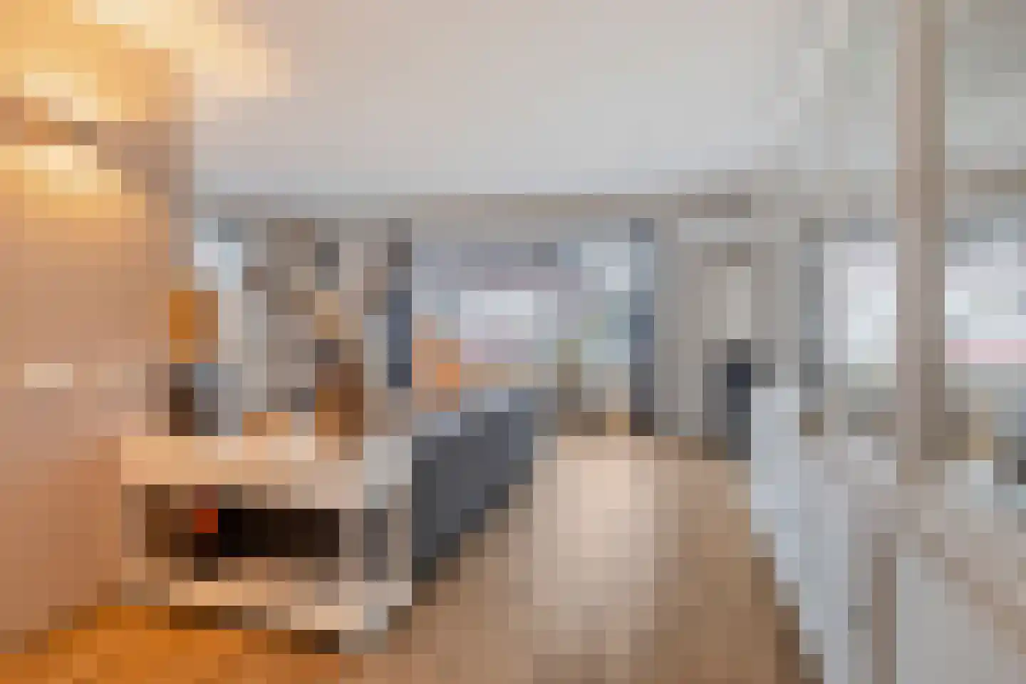 Smoutstraat 15 Sprundel thumbnail 11