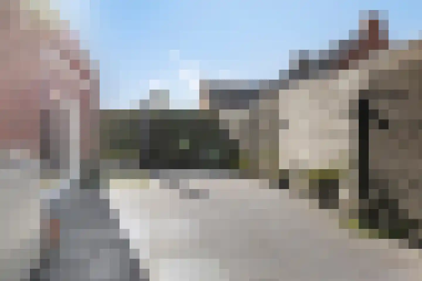 Smoutstraat 15 Sprundel thumbnail 11