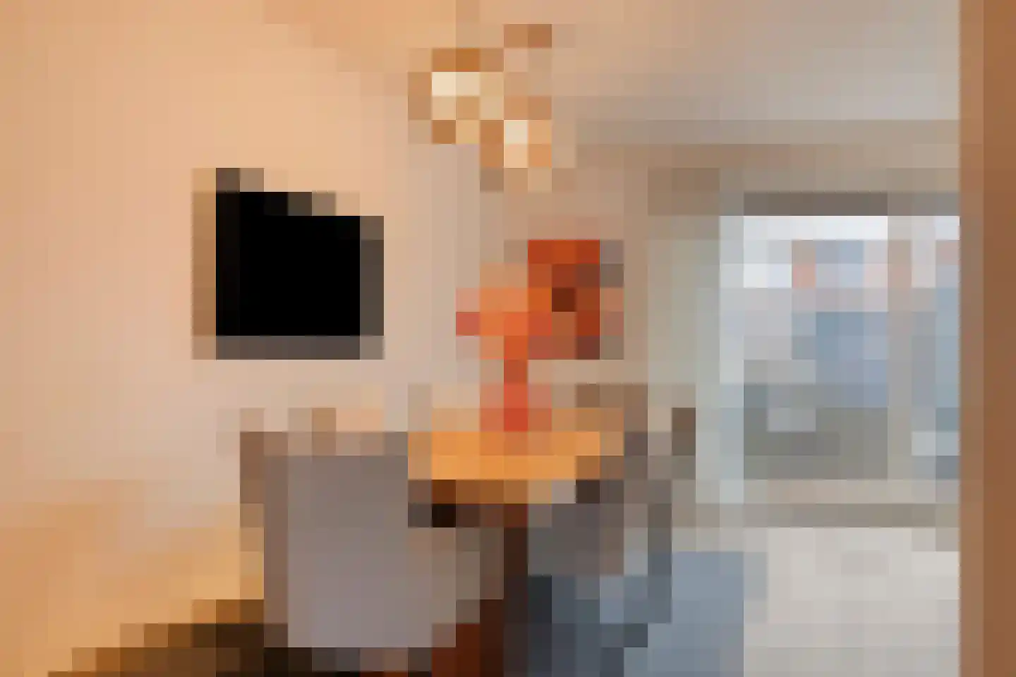 Smoutstraat 15 Sprundel thumbnail 20