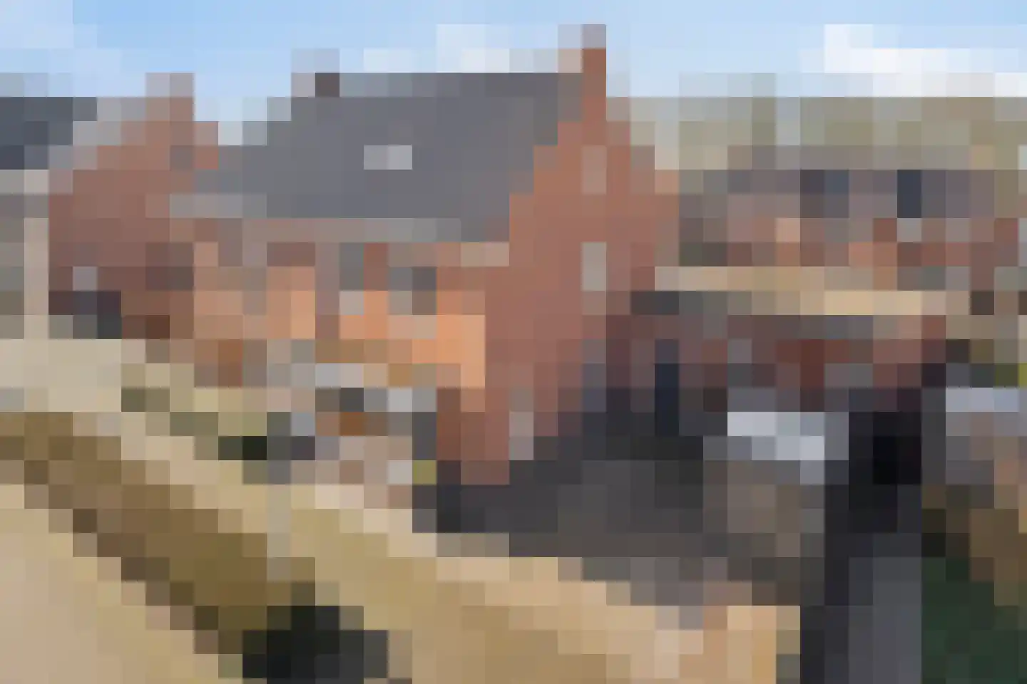 Smoutstraat 15 Sprundel thumbnail 20