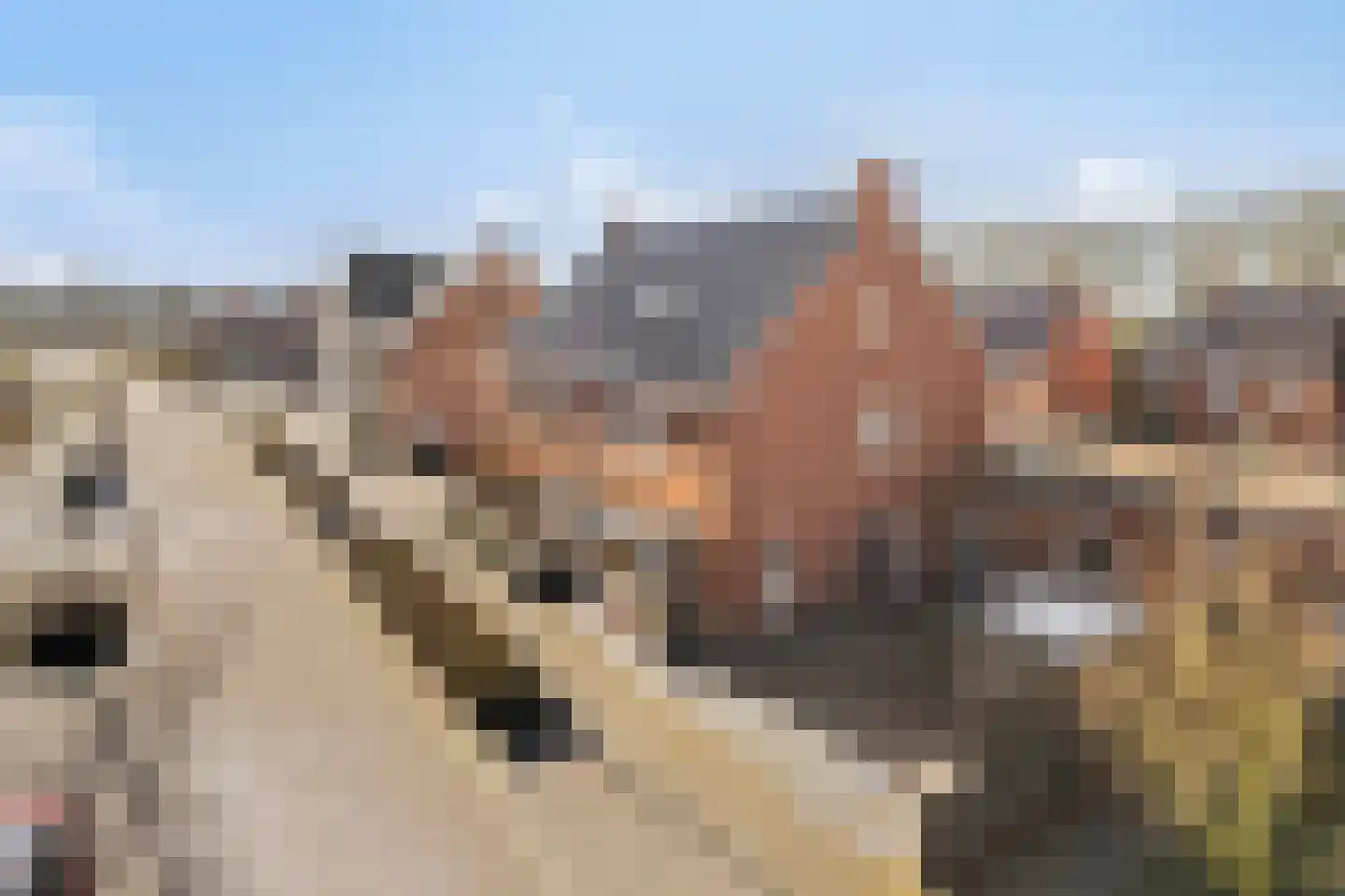 Smoutstraat 15 Sprundel thumbnail 21