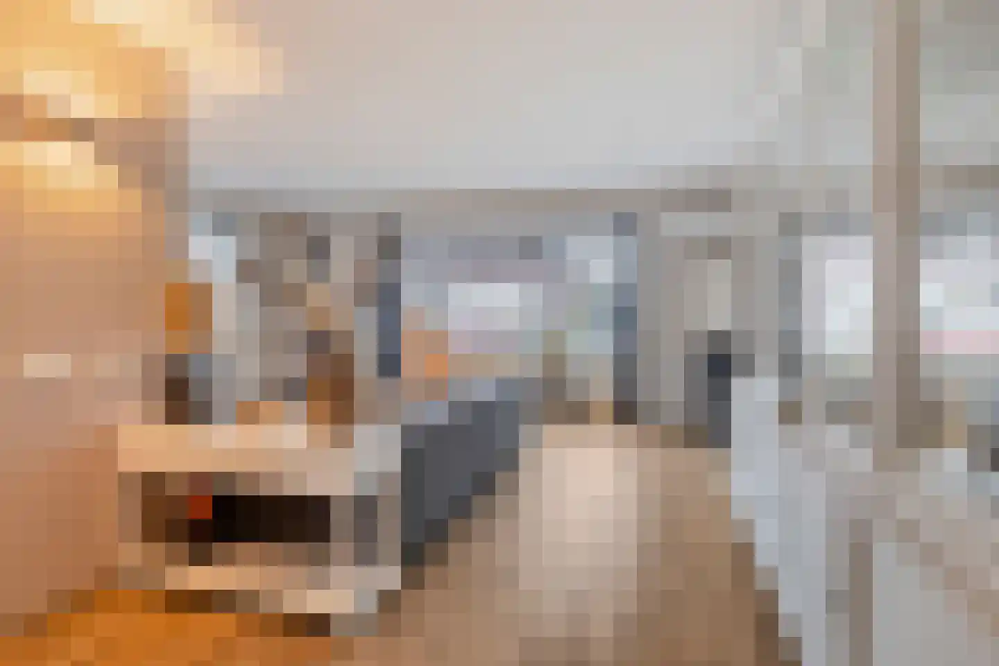 Smoutstraat 15 Sprundel thumbnail 29