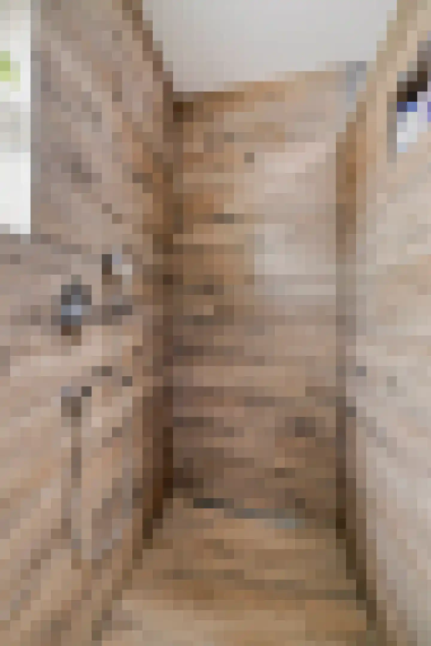 Smoutstraat 15 Sprundel thumbnail 36