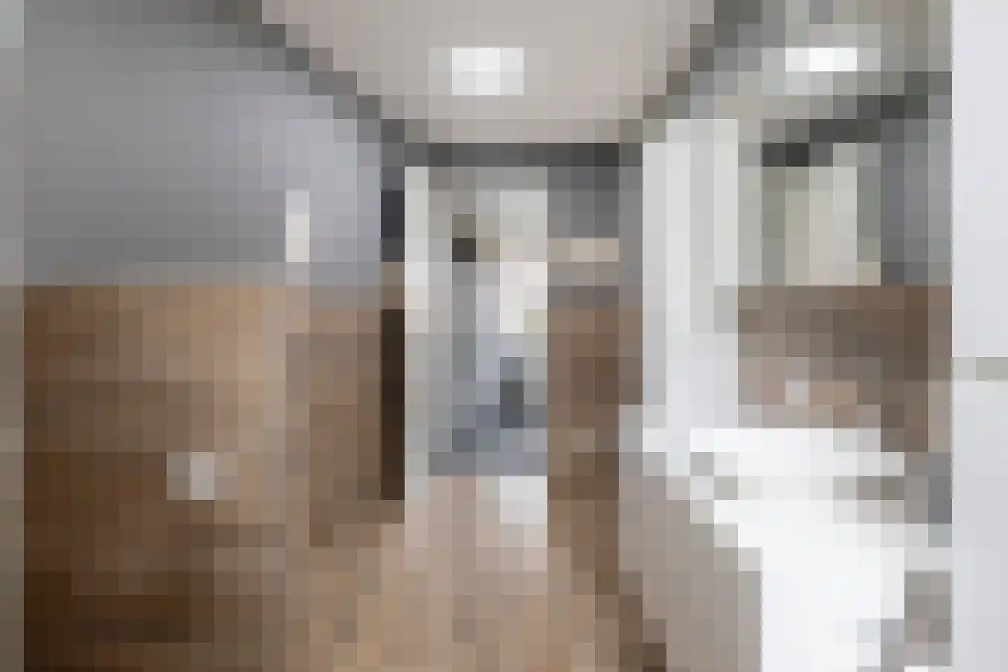 Smoutstraat 15 Sprundel thumbnail 37