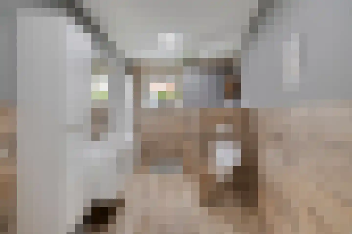 Smoutstraat 15 Sprundel thumbnail 38