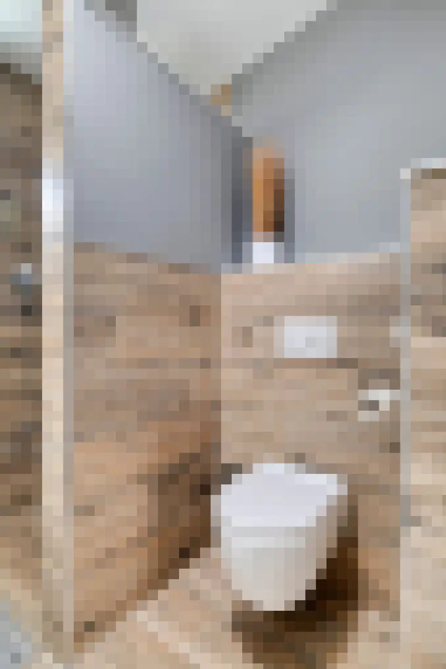 Smoutstraat 15 Sprundel thumbnail 39