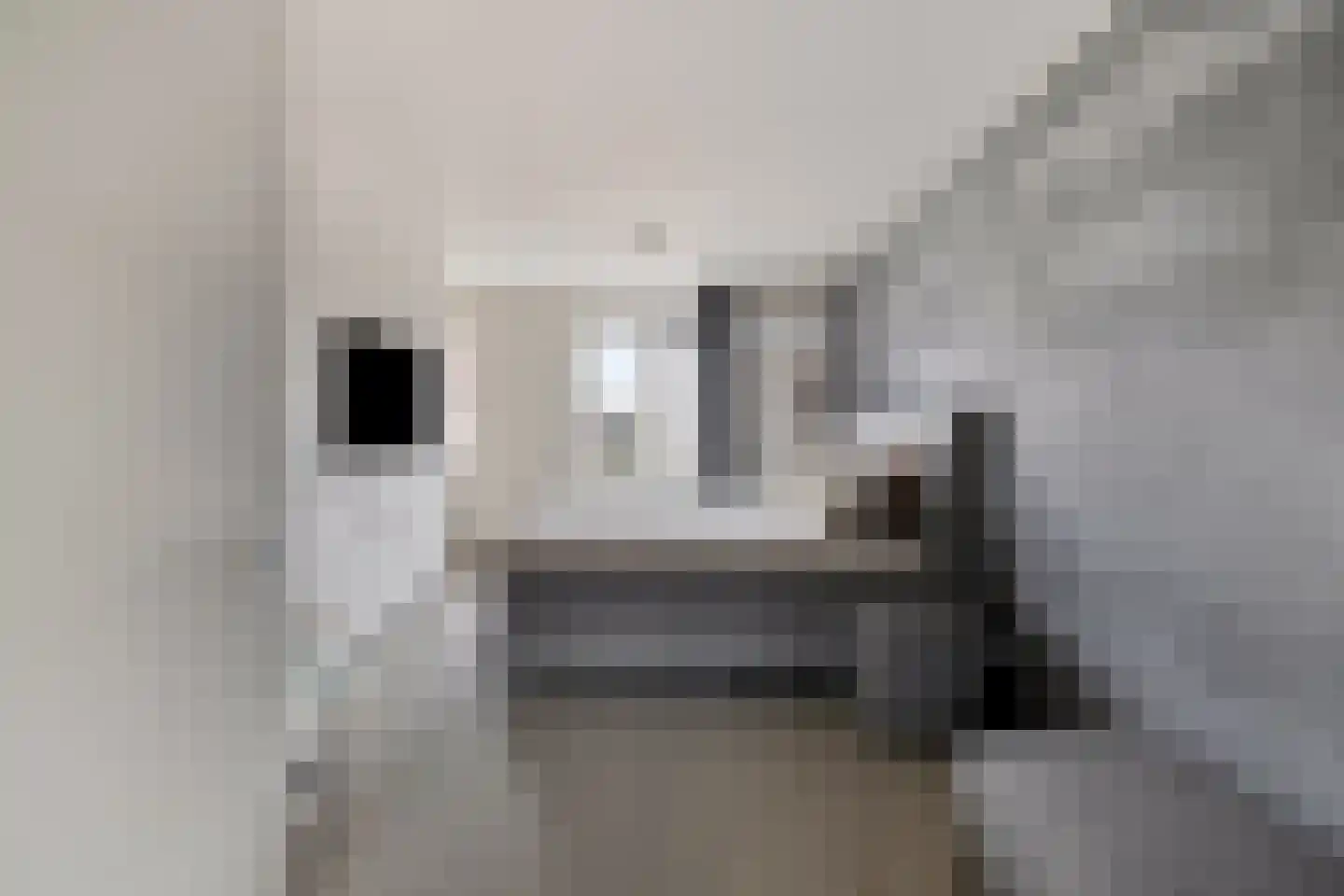 Smoutstraat 15 Sprundel thumbnail 43