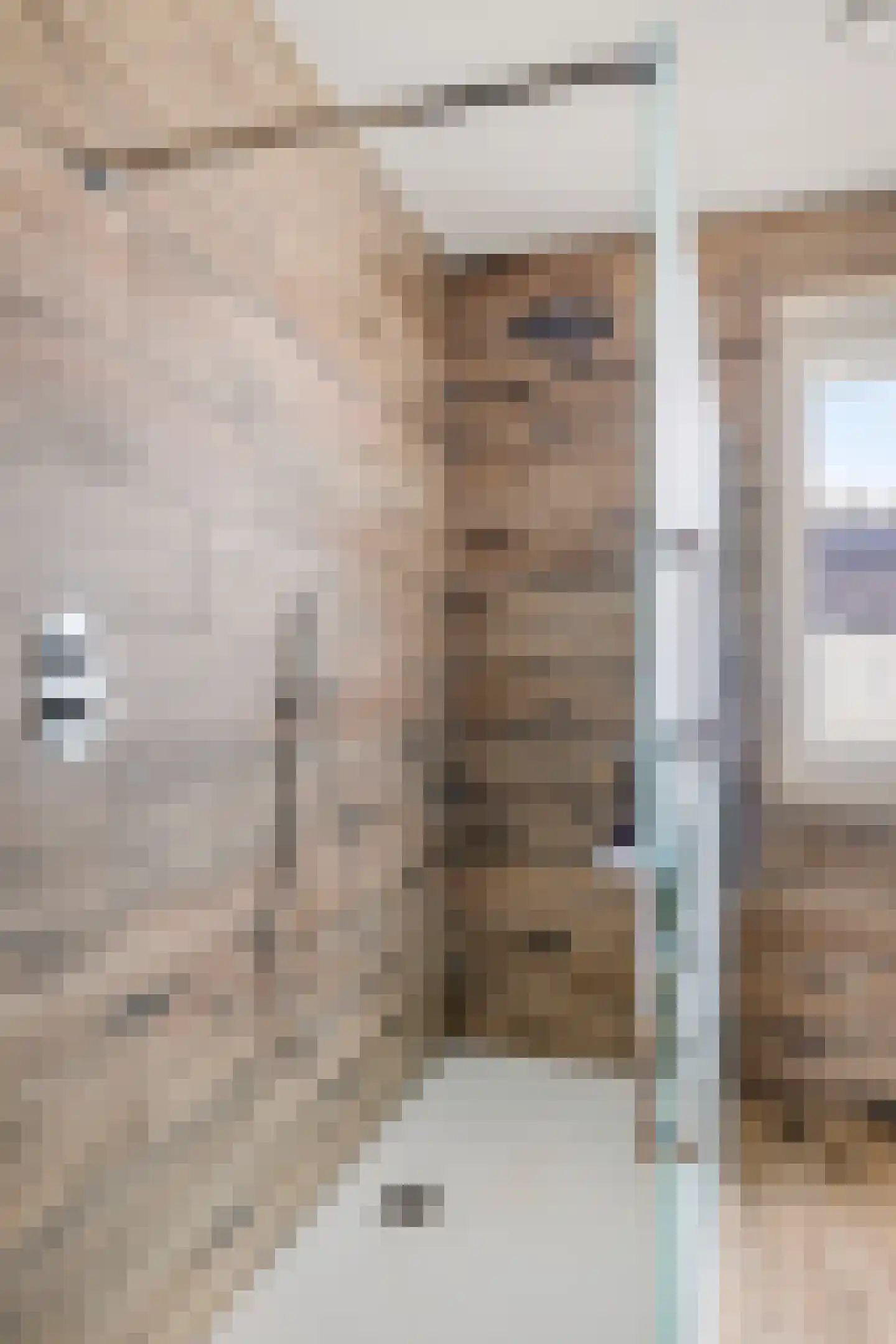 Smoutstraat 15 Sprundel thumbnail 51