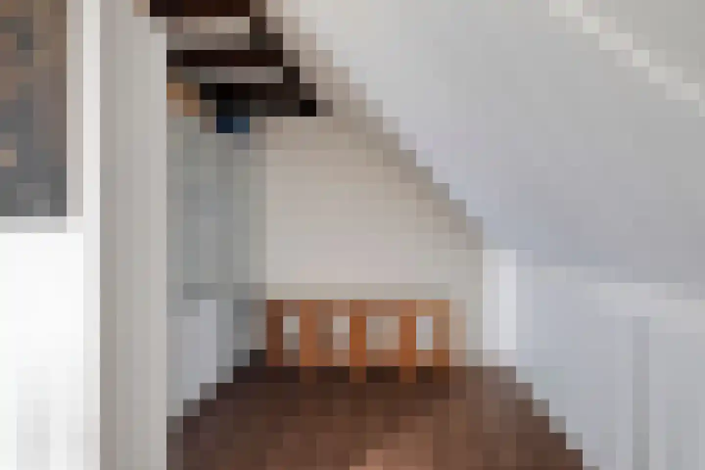 Smoutstraat 15 Sprundel thumbnail 54