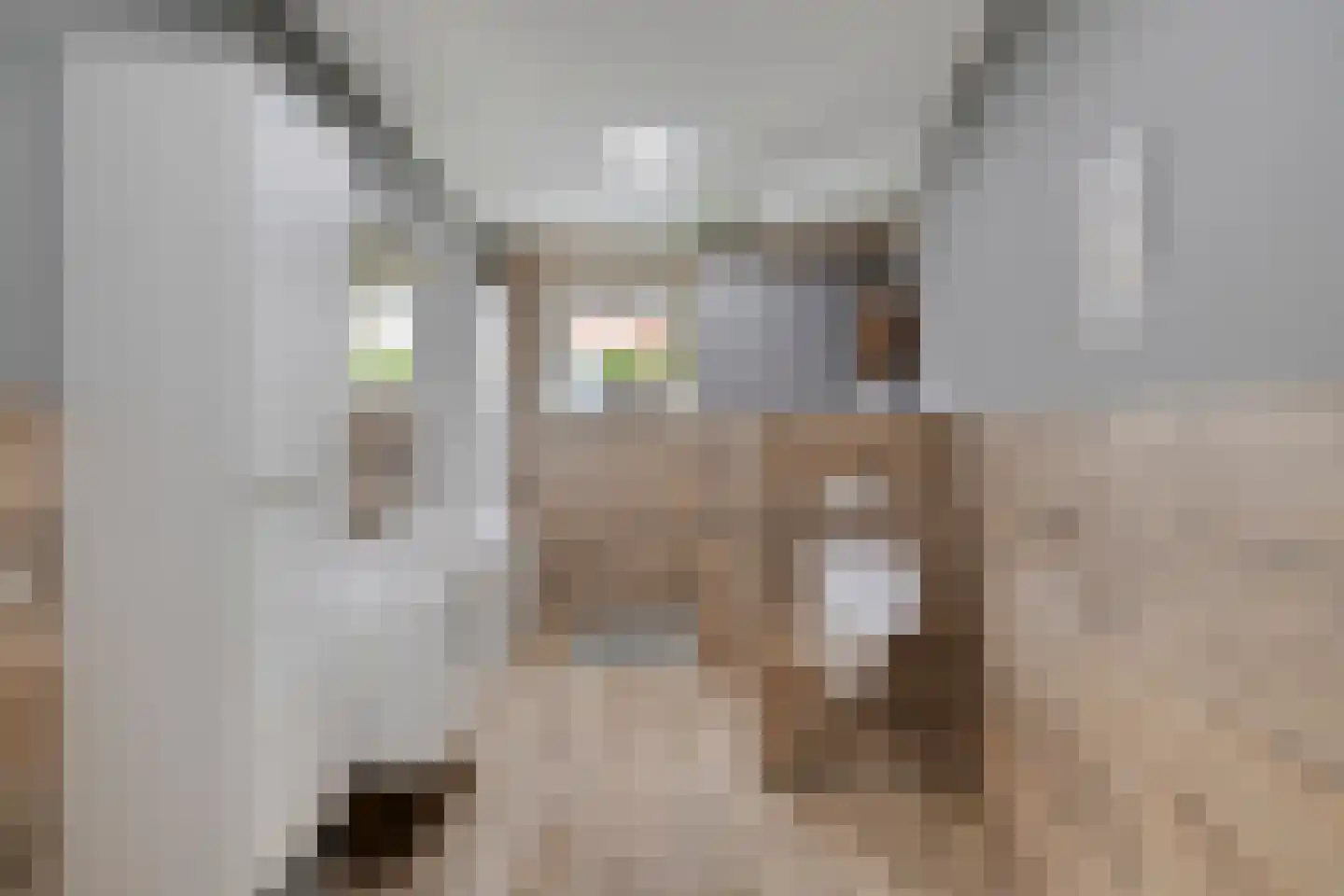 Smoutstraat 15 Sprundel thumbnail 56