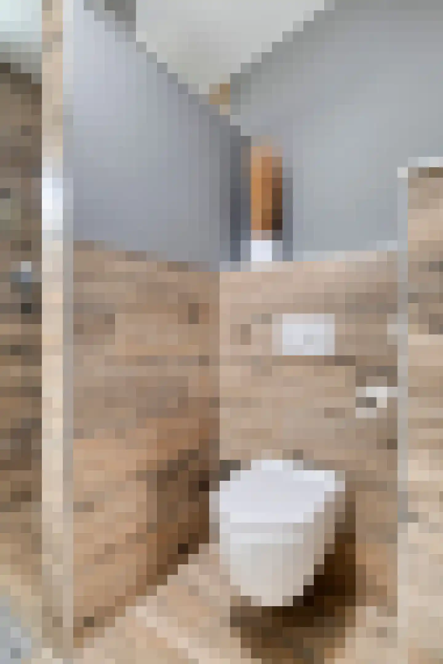 Smoutstraat 15 Sprundel thumbnail 57