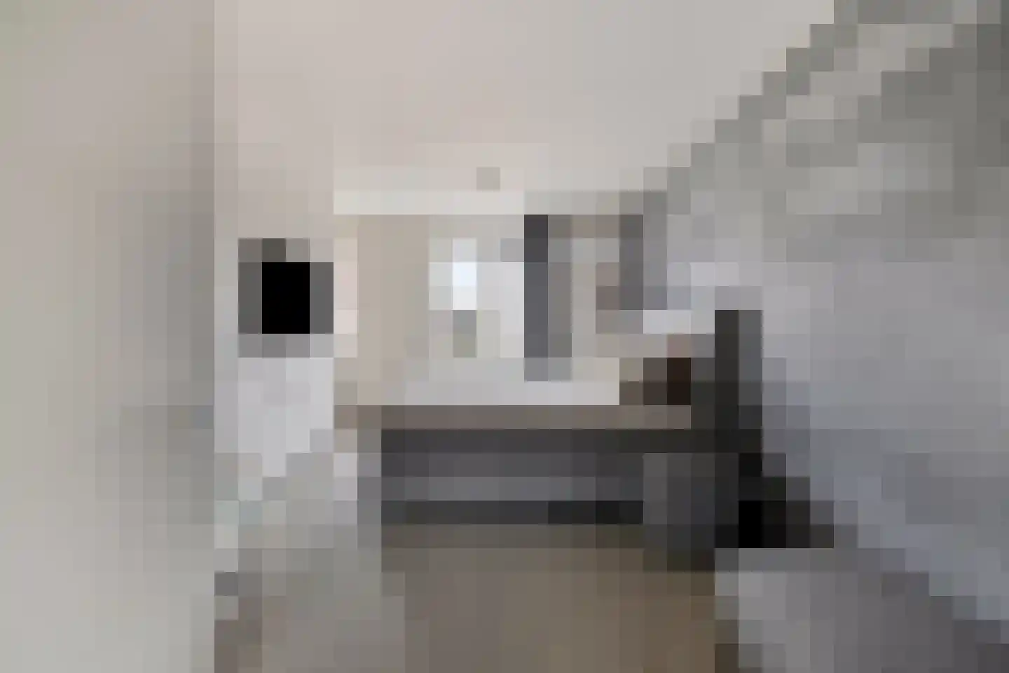 Smoutstraat 15 Sprundel thumbnail 62