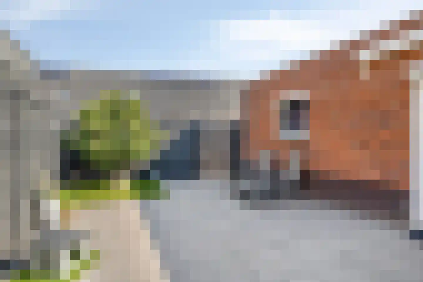 Smoutstraat 15 Sprundel thumbnail 69
