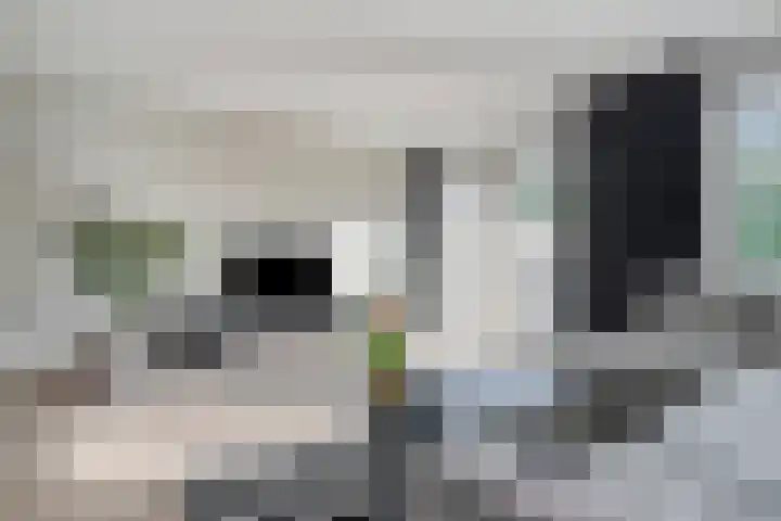 Smoutstraat 18 Sprundel thumbnail 13