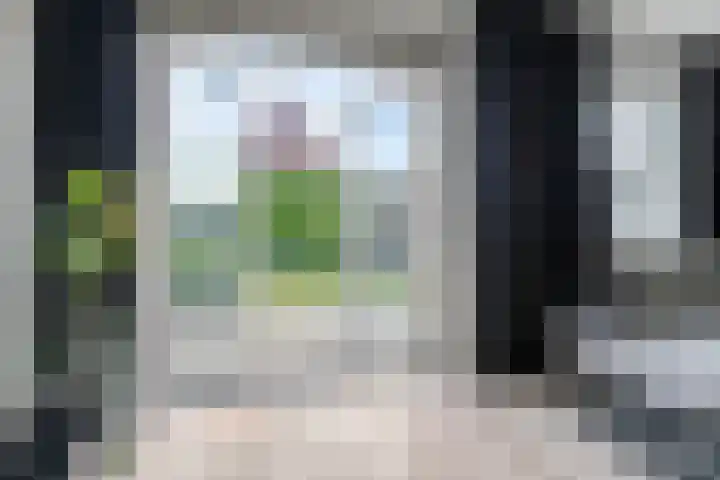 Smoutstraat 18 Sprundel thumbnail 15