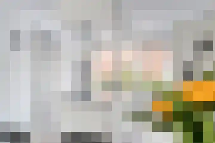 Smoutstraat 18 Sprundel thumbnail 19
