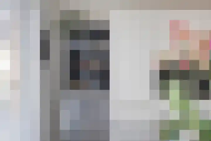 Smoutstraat 18 Sprundel thumbnail 23