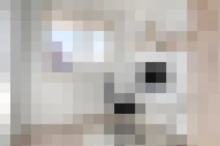 Smoutstraat 18 Sprundel thumbnail 30
