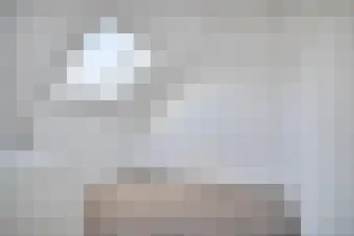 Smoutstraat 18 Sprundel thumbnail 36