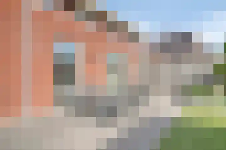 Smoutstraat 18 Sprundel thumbnail 41