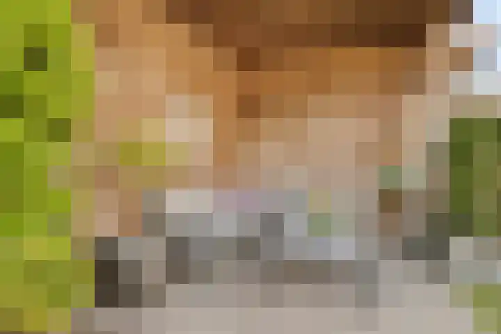 Smoutstraat 18 Sprundel thumbnail 45