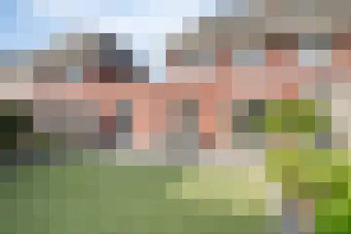 Smoutstraat 18 Sprundel thumbnail 47