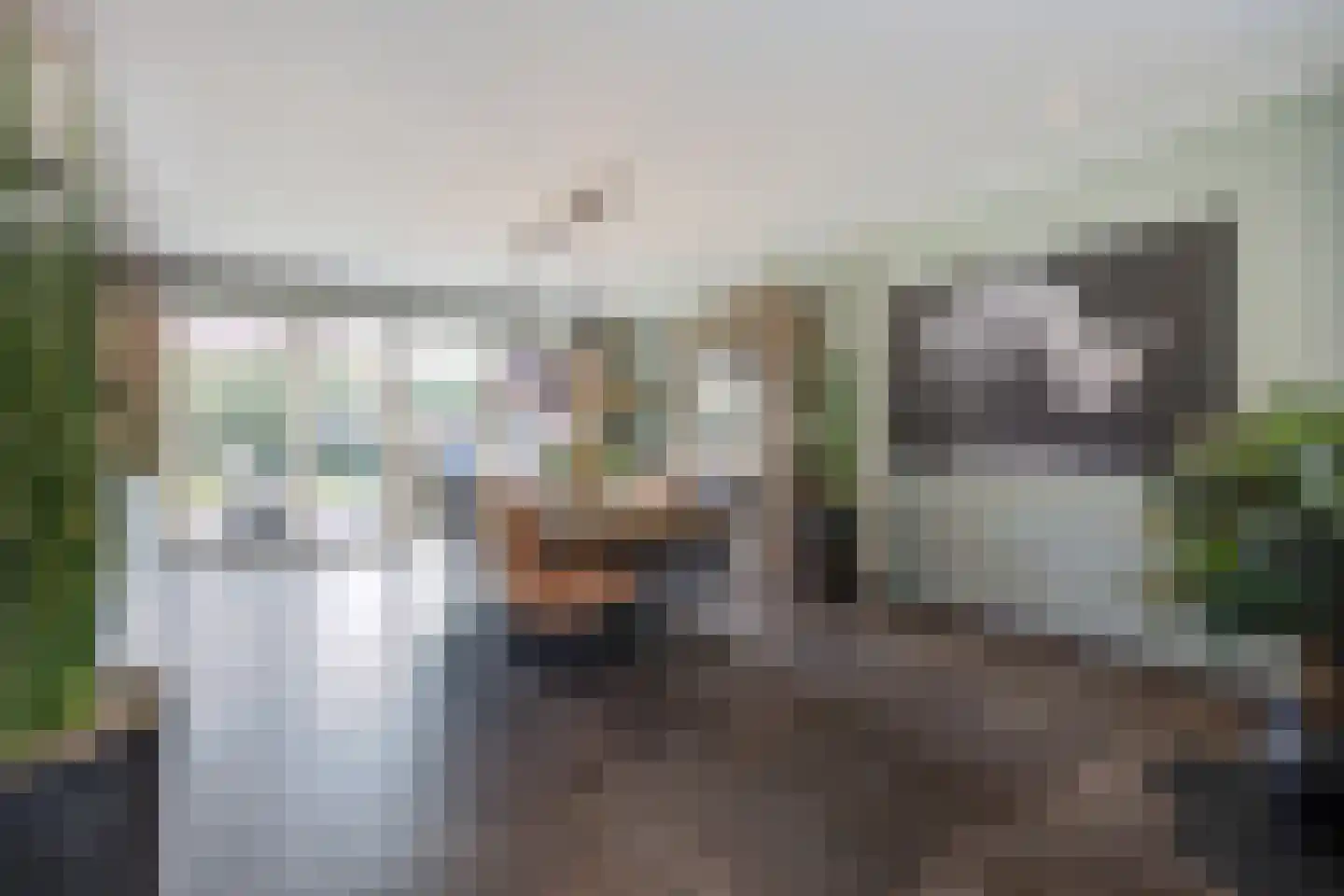 Smoutstraat 28 Sprundel thumbnail 11