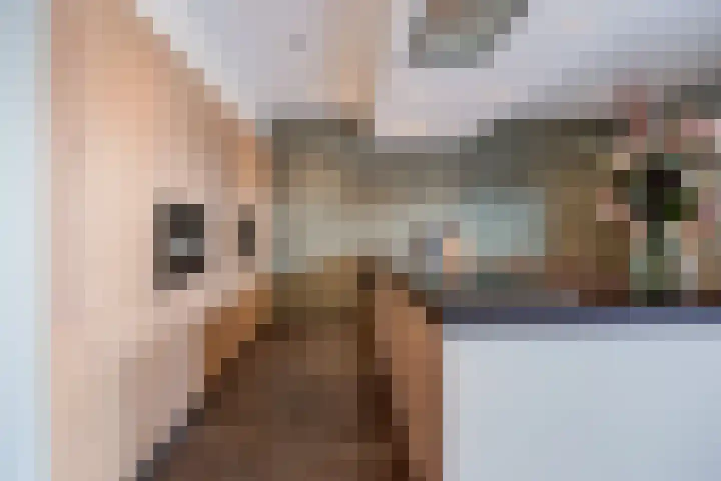 Smoutstraat 28 Sprundel thumbnail 14