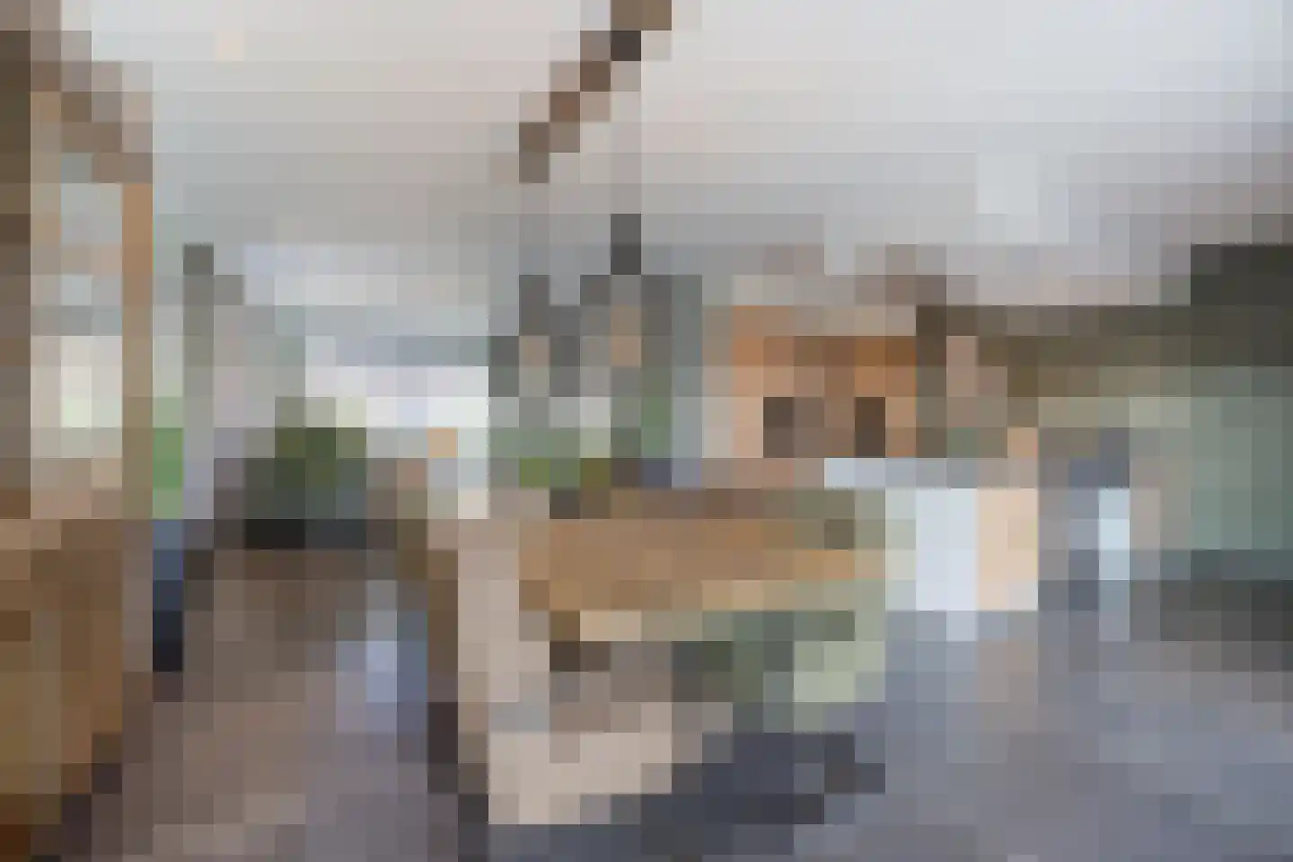Smoutstraat 28 Sprundel thumbnail 15