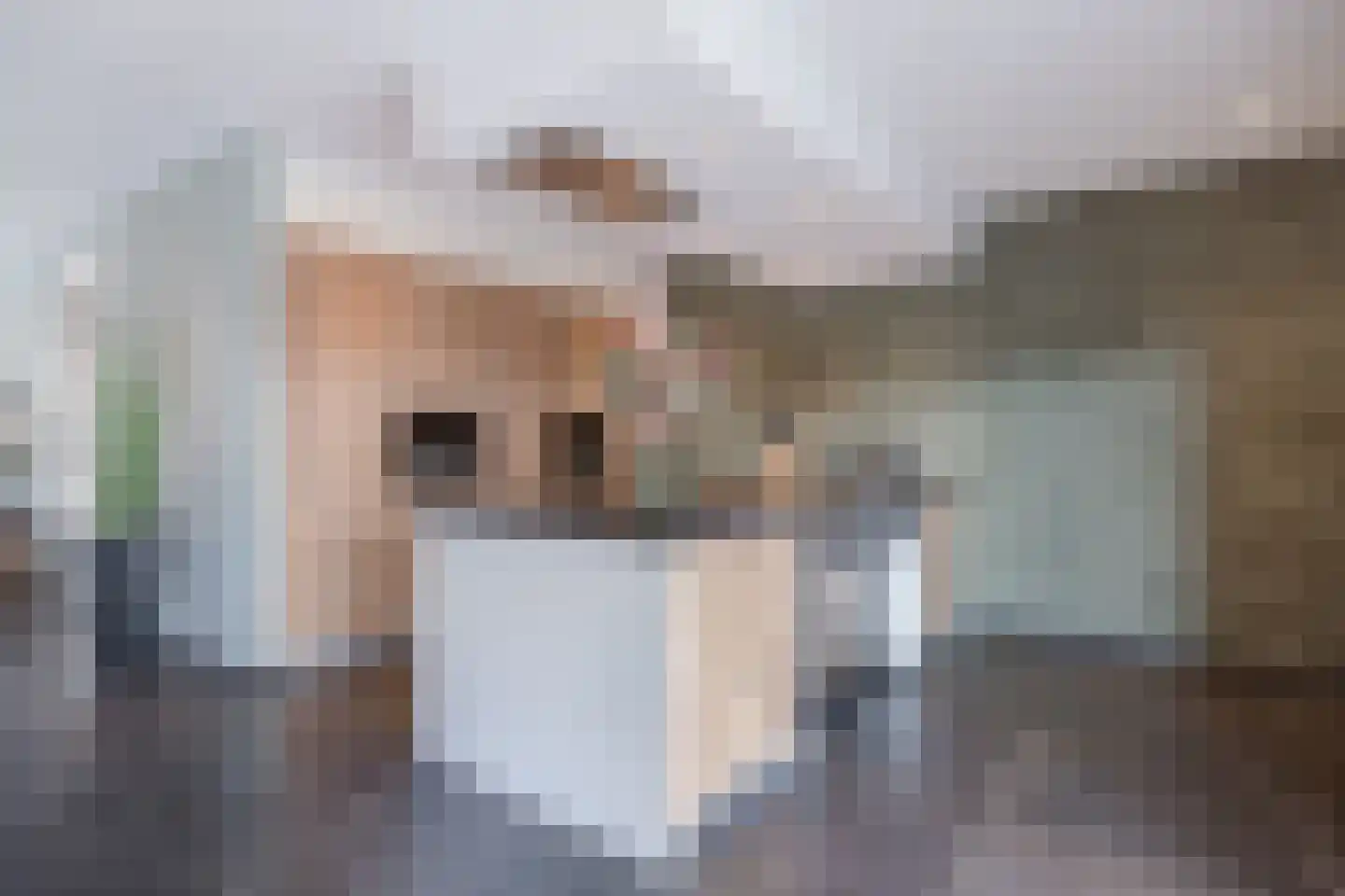 Smoutstraat 28 Sprundel thumbnail 16