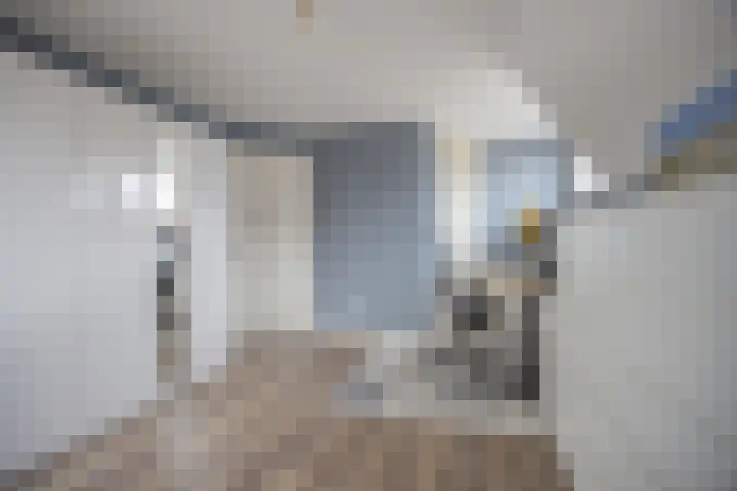 Smoutstraat 28 Sprundel thumbnail 25