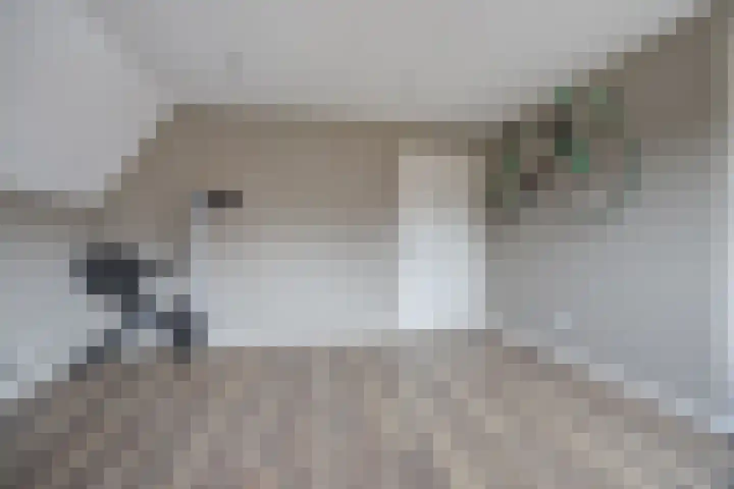 Smoutstraat 28 Sprundel thumbnail 28