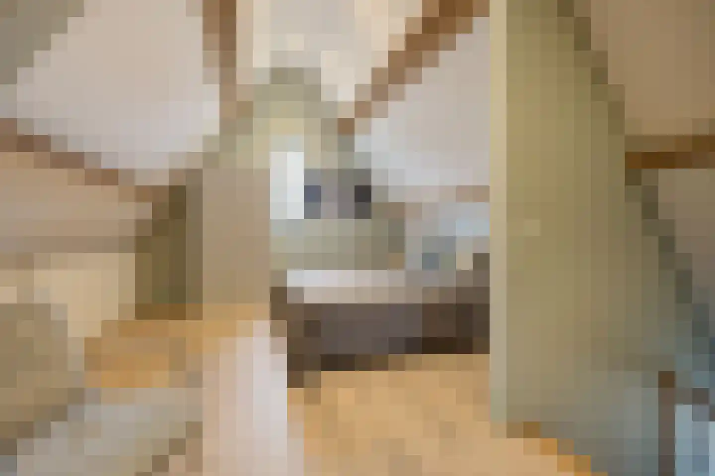 Smoutstraat 28 Sprundel thumbnail 34