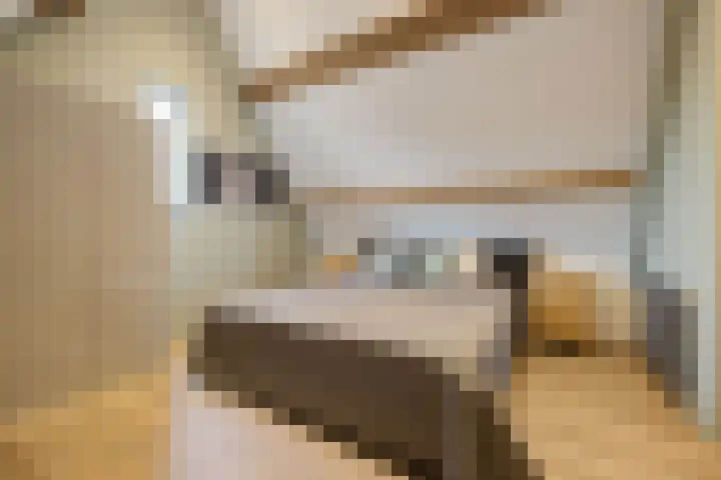 Smoutstraat 28 Sprundel thumbnail 35