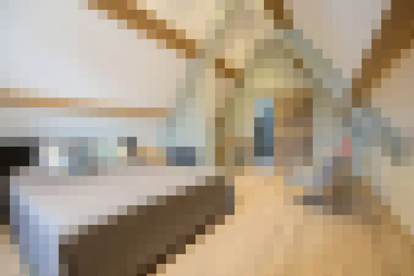 Smoutstraat 28 Sprundel thumbnail 36