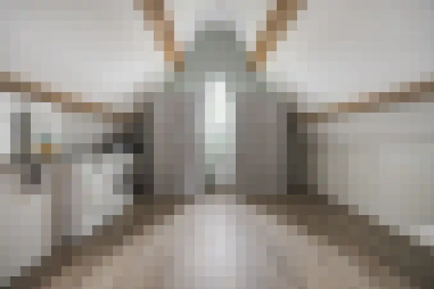 Smoutstraat 28 Sprundel thumbnail 37