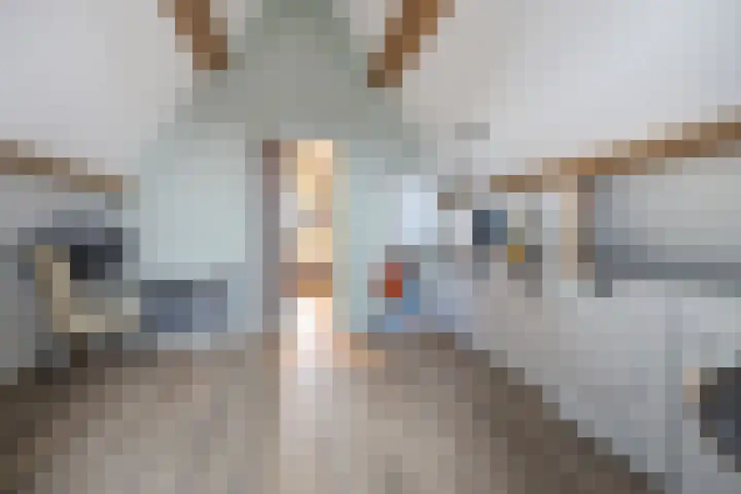 Smoutstraat 28 Sprundel thumbnail 38