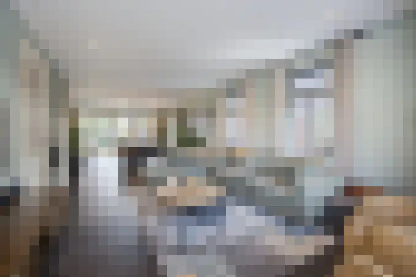 Smoutstraat 28 Sprundel thumbnail 9