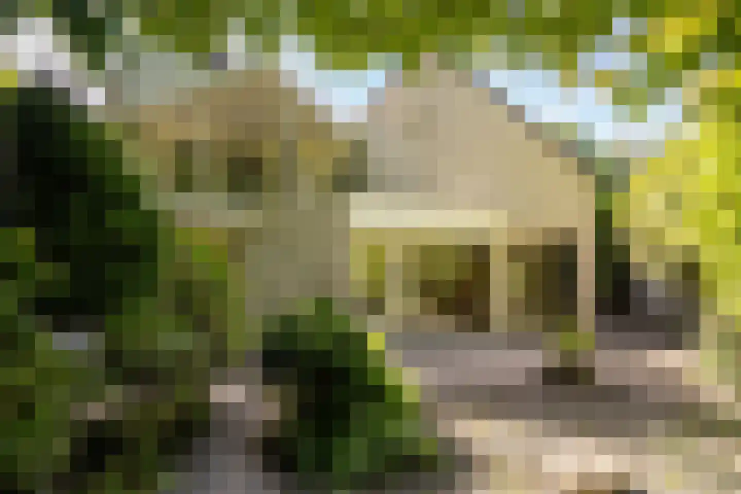 Smuddeboshoek 14 Enschede thumbnail 42