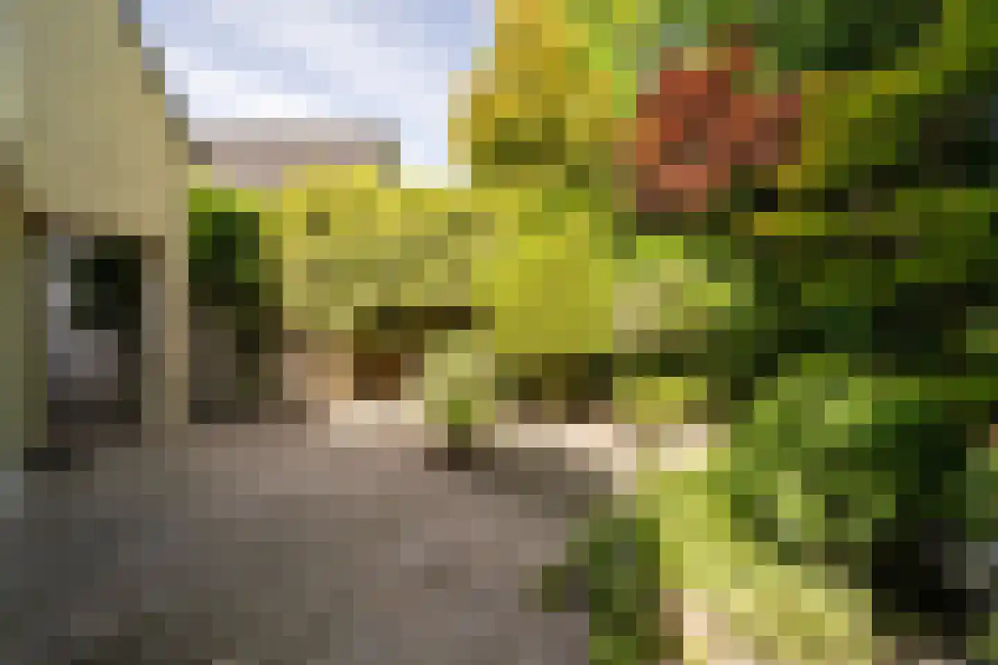 Smuddeboshoek 14 Enschede thumbnail 43
